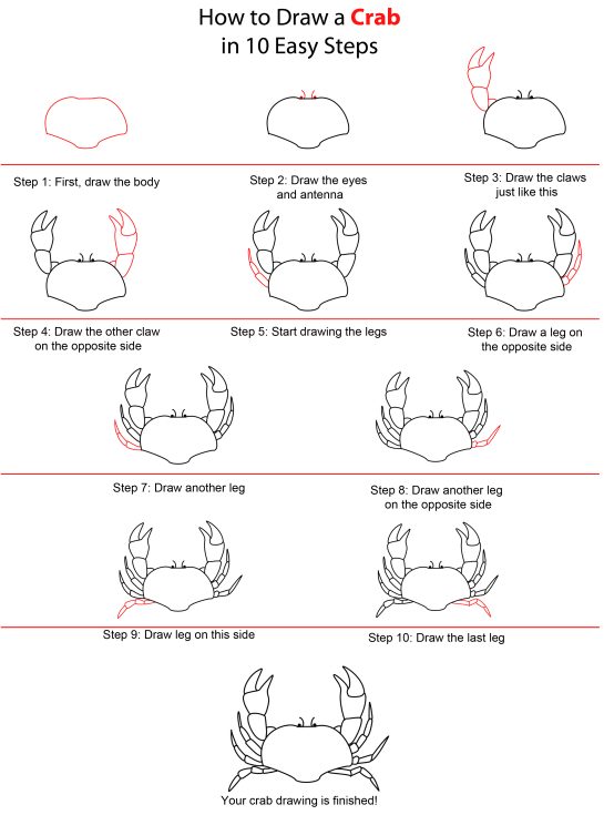 How to Draw a Crab Step by Step for Beginners