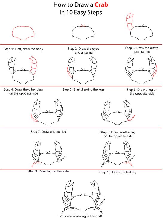 20 Easy Drawing Tutorials For Beginners Cool Things To Draw Step