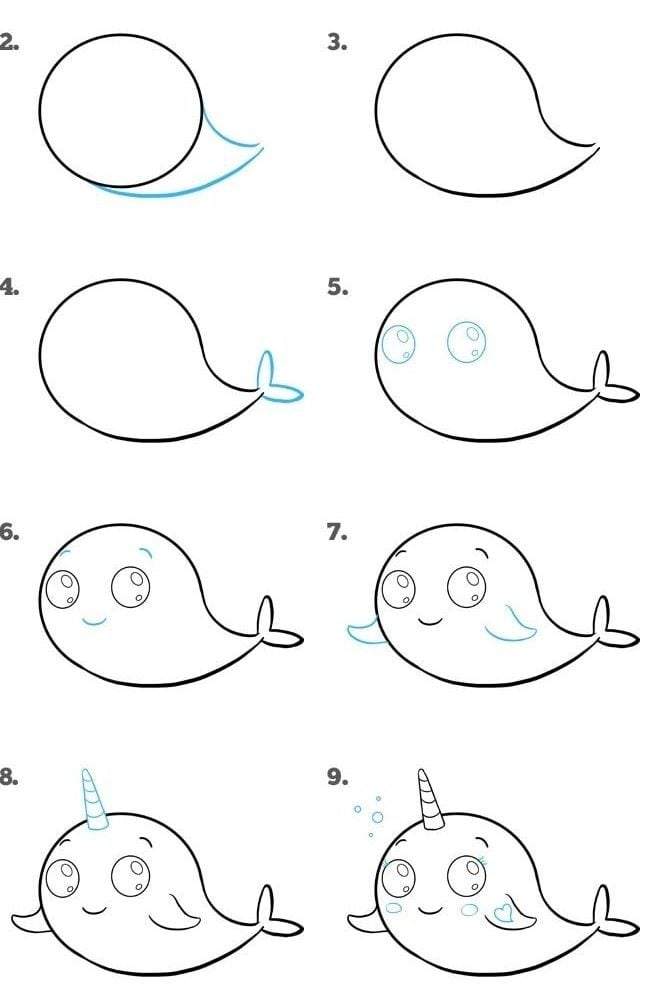 How to Draw Cute Whale Step by Step Easy for Beginners
