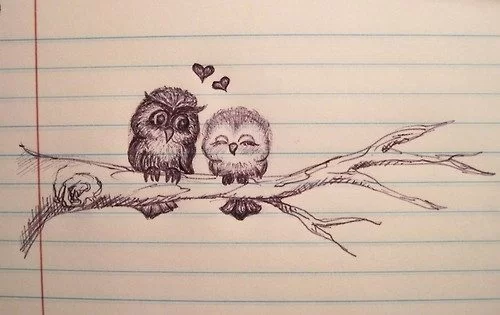 Love Birds Pencil Drawing