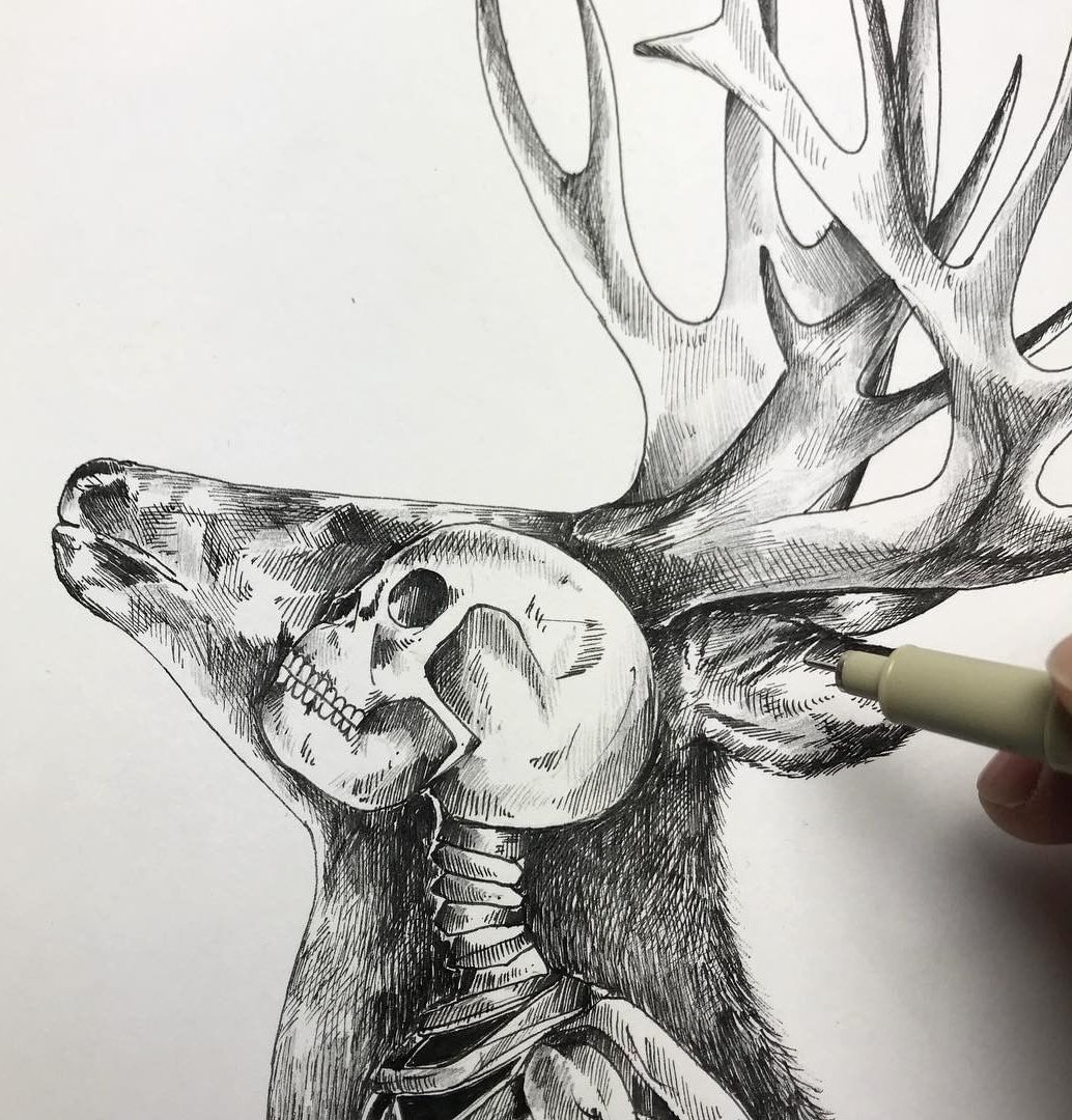  Amazing Drawing Sketch with Pencil