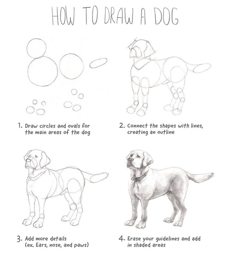 15 Easy Things to Draw that Look Impressive Step by Step Tutorials