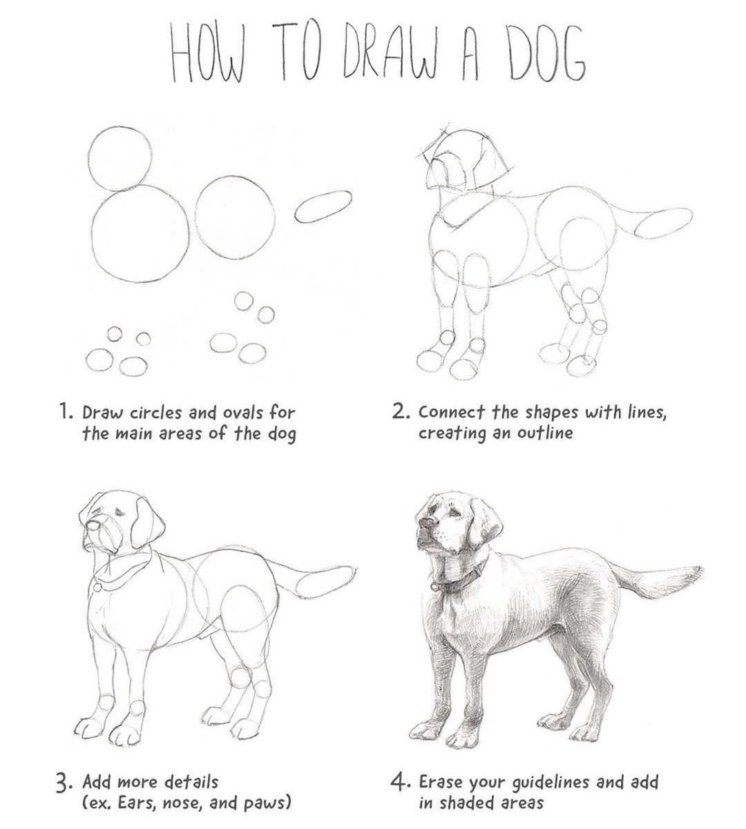 How to draw Dog easy