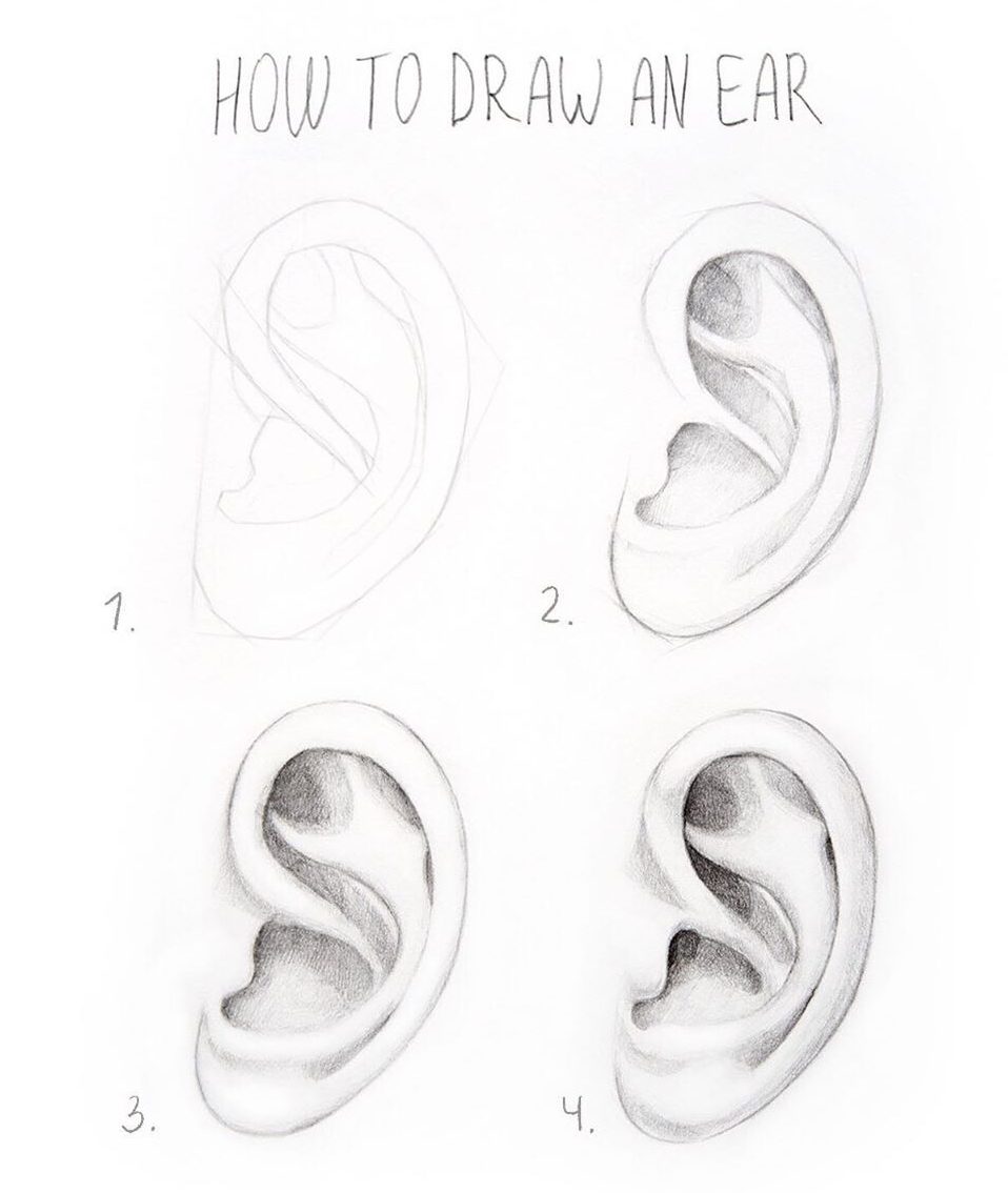 how to draw an ear step by step easy