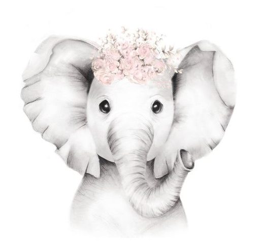 15 Cute Baby Elephant Drawing and Easy Elephant Painting Ideas