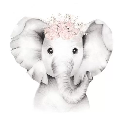 Baby elephant drawing