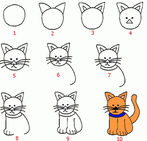 Cat drawing for kids step by step
