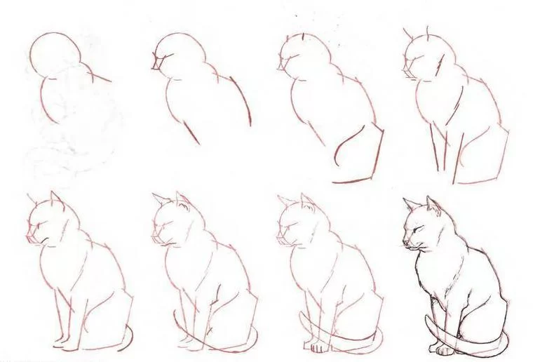 Cat figure sketch