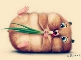Cute hamster drawing easy