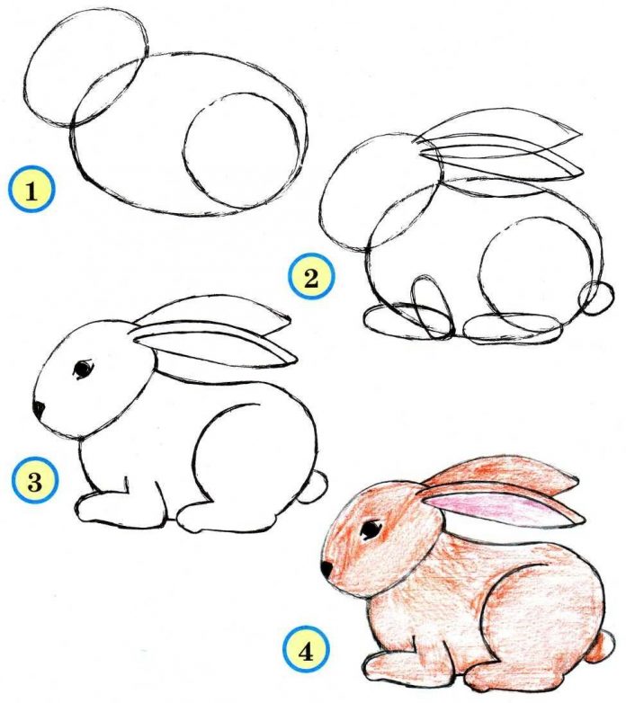 How to Draw Animals for Kids Step by Step with Pencil | Do It Before Me