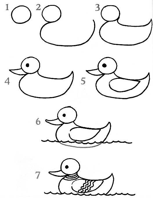 Duck drawing for kids