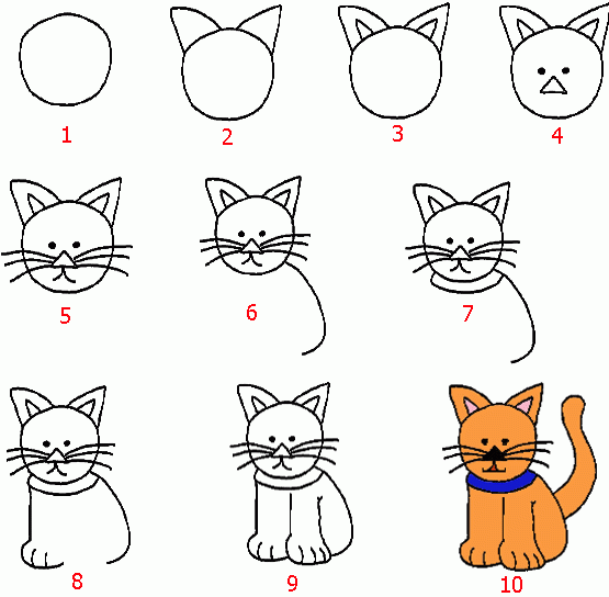 easy cat drawing step by step