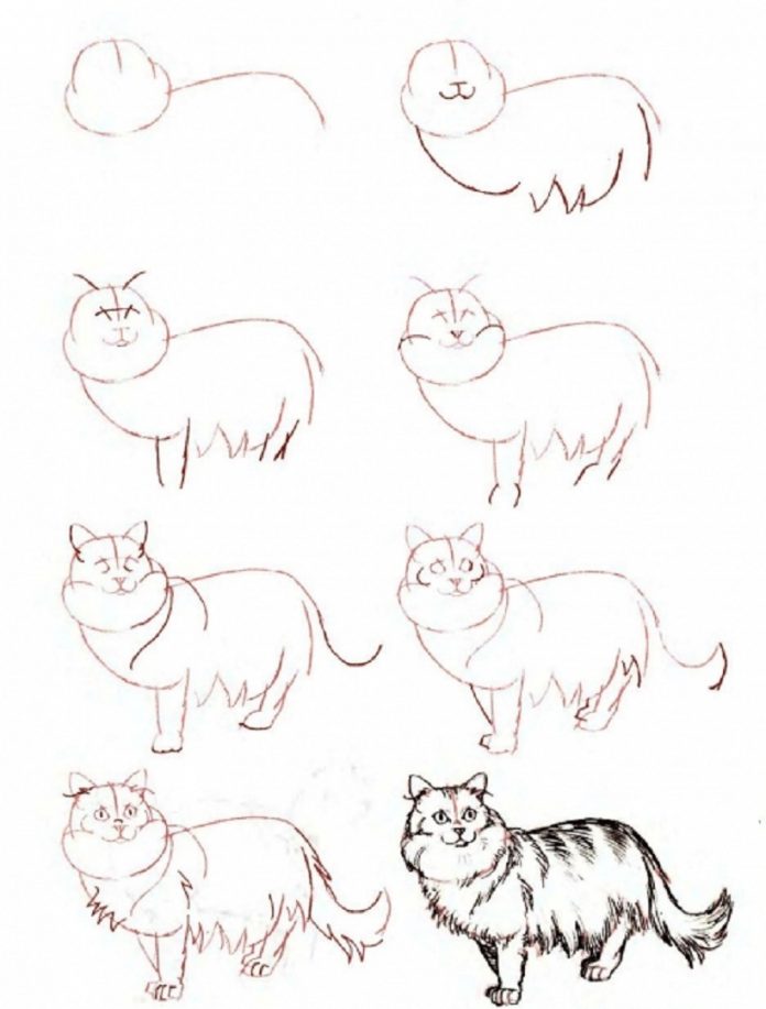 20 Easy Cat Drawing Step by Step Tutorials - Simple Cat Sketch