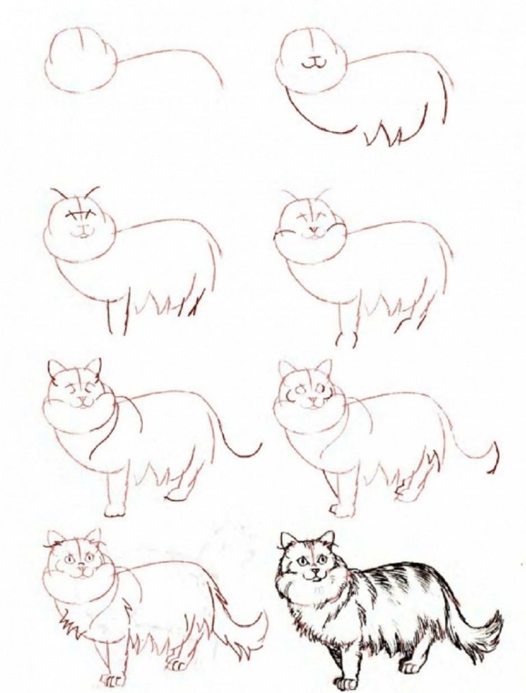 20 Easy Cat Drawing Step by Step Tutorials - Simple Cat Sketch