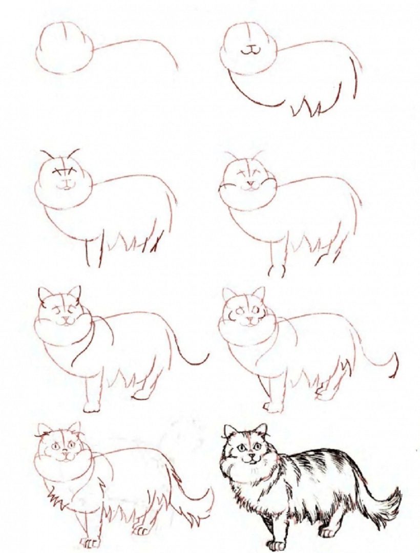 20 Easy Cat Drawing Step By Step Tutorials Simple Cat Sketch