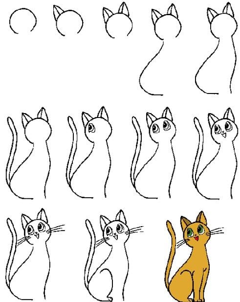 How to draw a cat simple