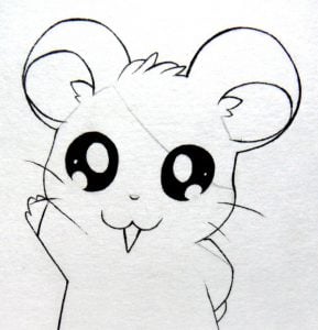 20 Cute and Easy Cartoon Hamster Drawing Ideas - Chibi and Kawaii