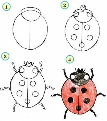 Ladybug drawing for kids