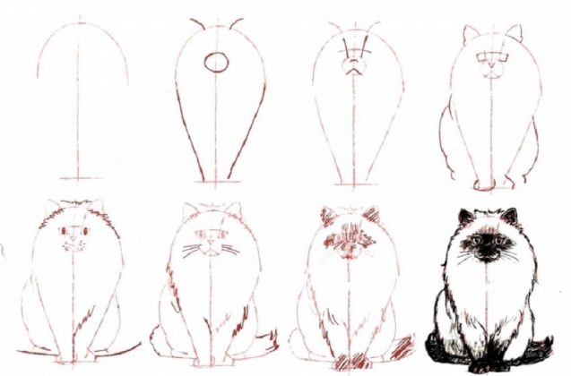 20 Easy Cat Drawing Step by Step Tutorials - Simple Cat Sketch