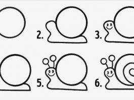 Snail drawing for kids