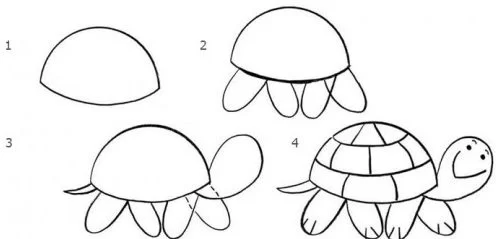 Turtle drawing easy for kids