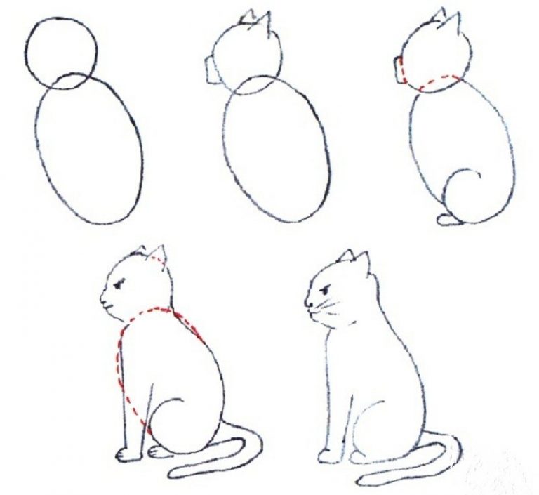 Нарисовать котика просто