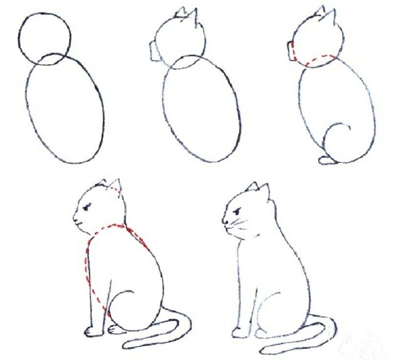 20 Easy Cat Drawing Step by Step Tutorials - Simple Cat Sketch