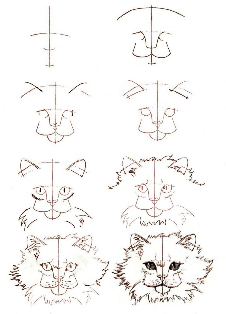 20 Easy Cat Drawing Step by Step Tutorials Simple Cat Sketch