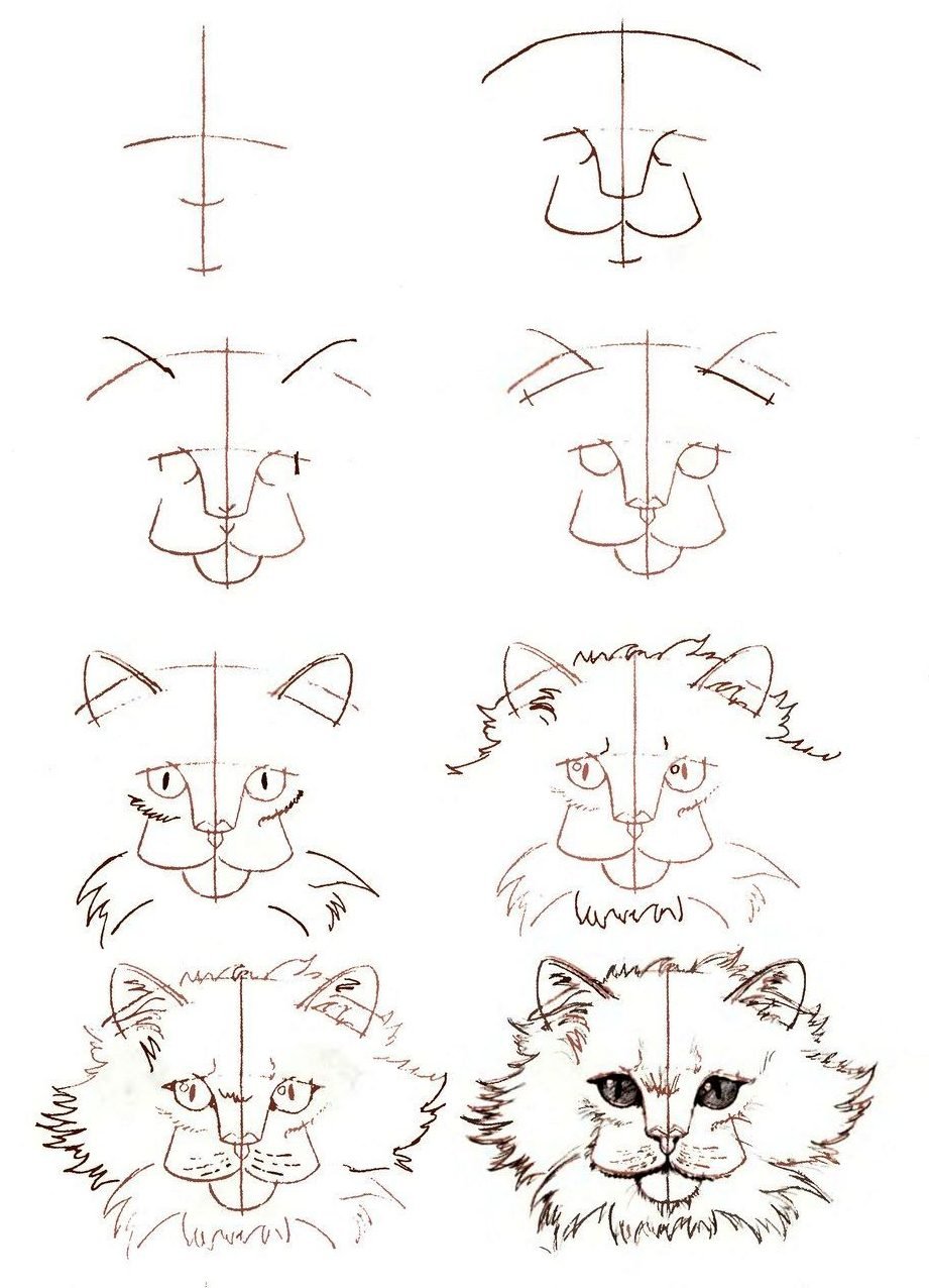 cat easy to draw