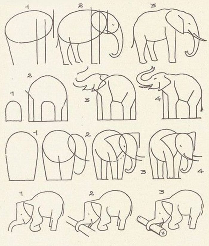 Albums 93+ Pictures How To Draw A Realistic Elephant Step By Step Full ...