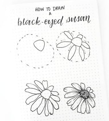 Black eyed susan flower drawing