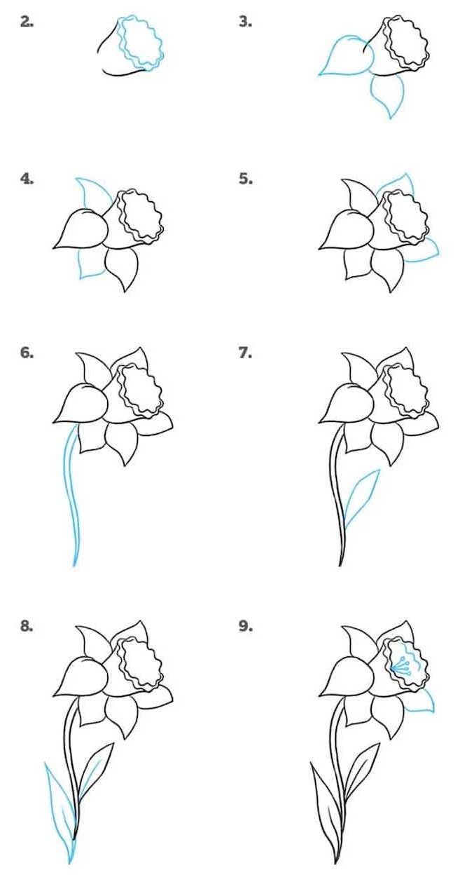 10 Realistic Flower Drawings Step by Step - Easy Drawing Tutorials