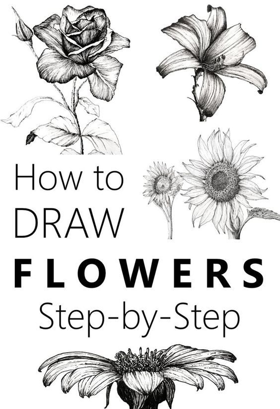 10 Realistic Flower Drawings Step by Step – Easy Drawing Tutorials | Do