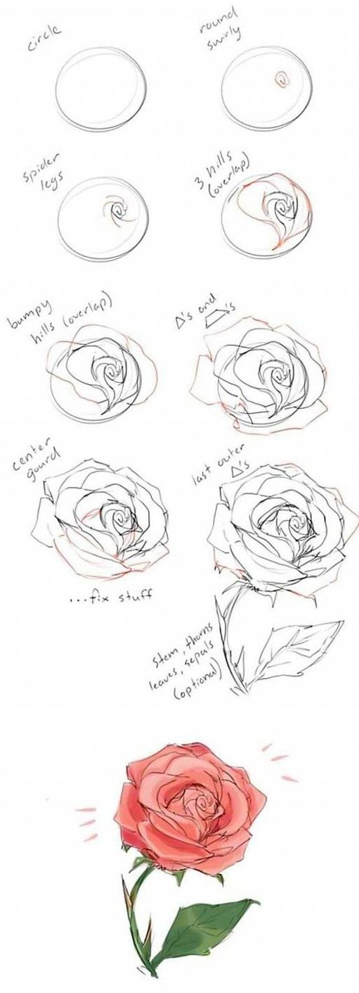 10 Realistic Flower Drawings Step by Step Easy Drawing Tutorials