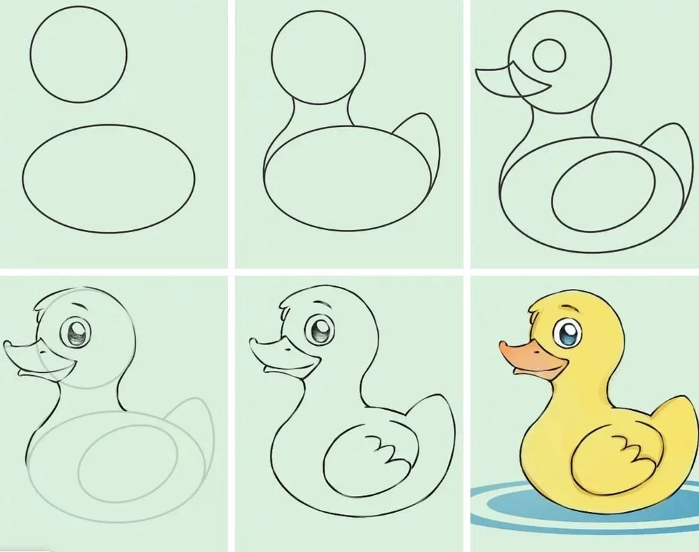 Duck drawing easy step by step