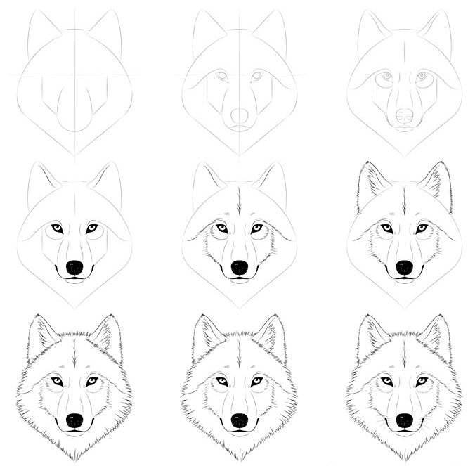 Step by step wolf face drawing easy