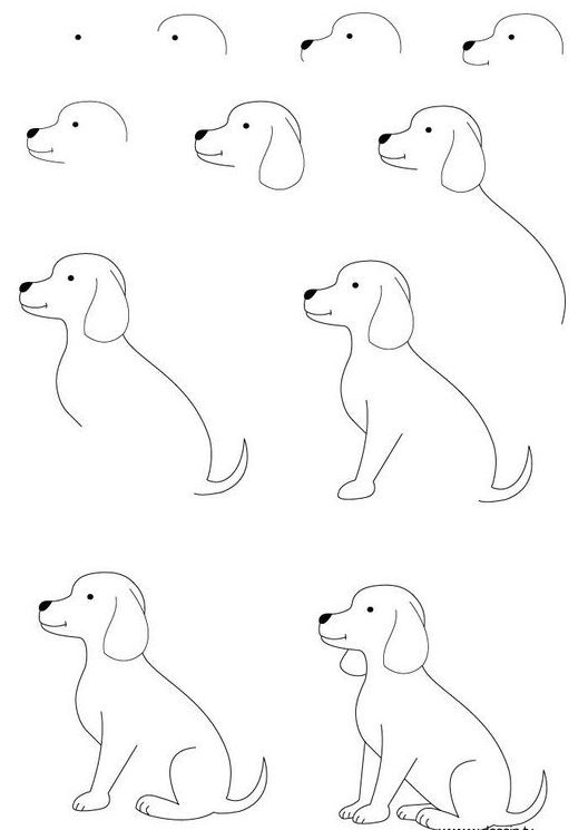Рисунок собаки шаг за шагом