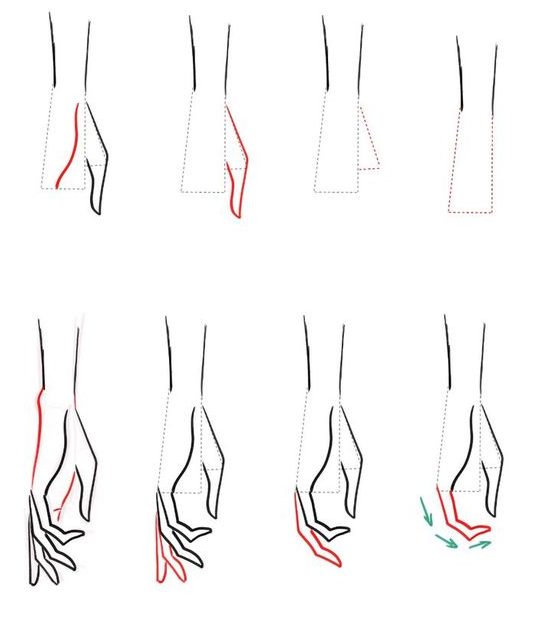 anime how to draw hands