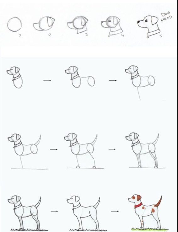 рисунки мультфильмов рисуем собаку шаг за шагом легко