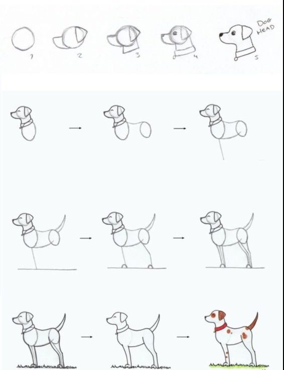 Simple Cartoon Dog Drawing Step By Step ~ Easy Cartoon Dog Drawing At ...