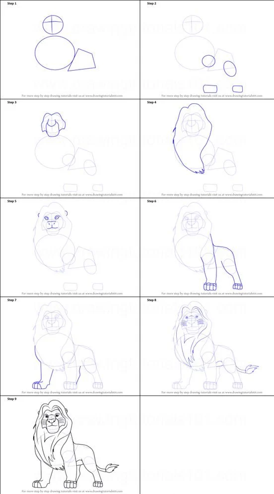 how to draw a lion step by step