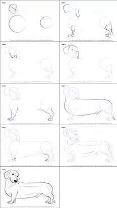 puppy drawing dog step by easy