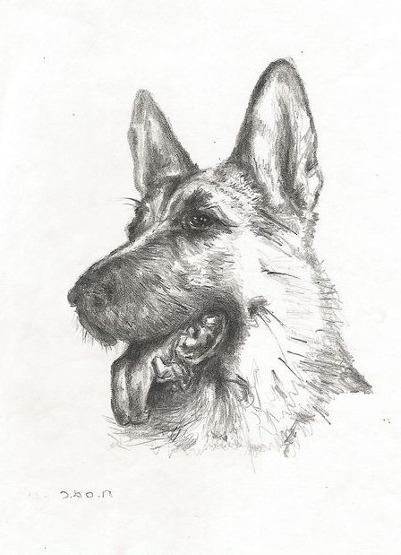 щенок сосиска рисунок собаки шаг за шагом