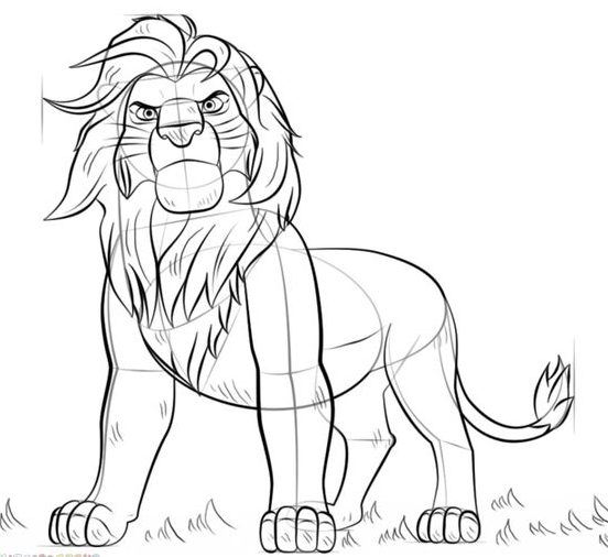 simple easy lion drawing