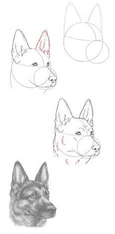 20 Easy Dog Drawings Step By Step - Do It Before Me