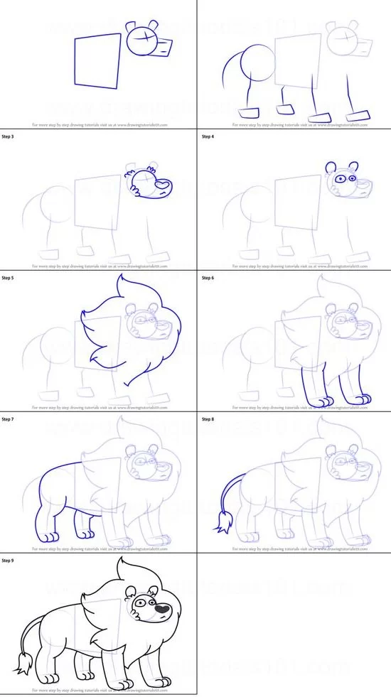 sketch how to draw a lion step by step