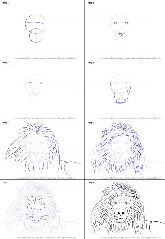 step how to draw a lion face