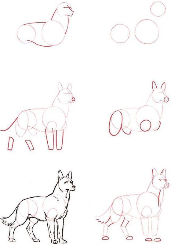 Easy Dog Drawings Step By Step Do It Before Me