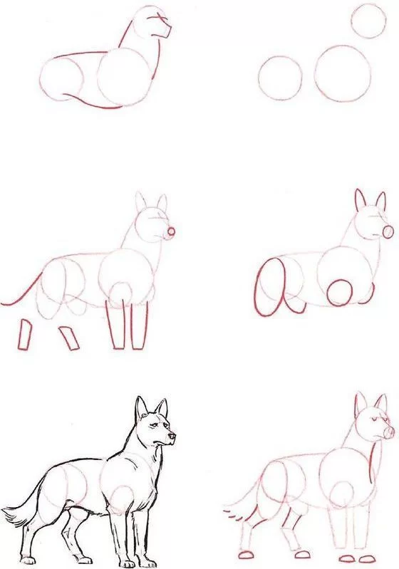 tutorial drawing dog step by easy