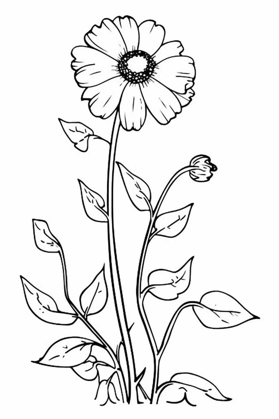Flower coloring pages for girls easy